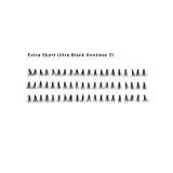 LASHES-Flare