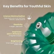 AXIS-Y Vegan Collagen Eye Serum