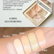 JUDYDOLL 5 Shades Concealer Palette