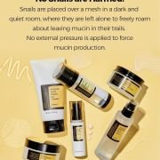 Cosrx ALL ABOUT SNAIL KIT 4-step