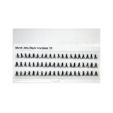 lashes-1.webp