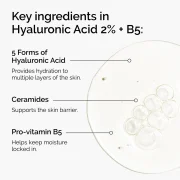 The Ordinary Hyaluronic Acid 2% + B5 (with ceramides)