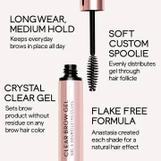 ANASTASIA BEVERLY HILLS BROW GEL CLEAR