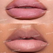 Sheglam Lip Facts Lip Liner