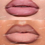 Sheglam Lip Facts Lip Liner