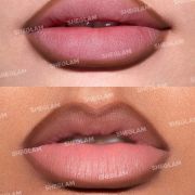 Sheglam Lip Facts Lip Liner