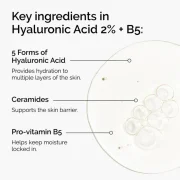The Ordinary Hyaluronic Acid 2% + B5 Hydrating Serum With Ceramides