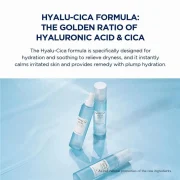 SKIN1004 Centella Hyalu-Cica Cloudy Mist 120ml