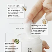 Beauty of Joseon Skincare Essential Kit