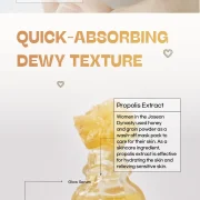 Beauty of Joseon Skincare Essential Kit