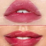 Sheglam For The Flush Lip & Cheek Tint
