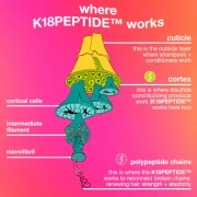 K18 Biomimetic Hairscience Healthy Volume Minis Hair Gift Set