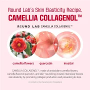 Round Lab CAMELLIA DEEP COLLAGEN FIRMING CREAM 50ML