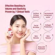 Round lab Camellia Deep Collagen Firming Ampoule