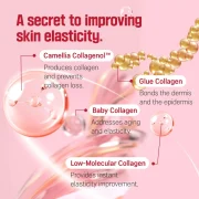 Round lab Camellia Deep Collagen Firming Ampoule